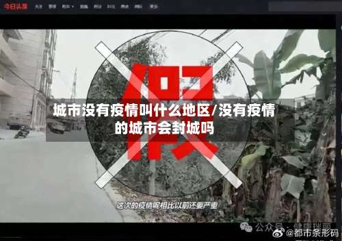 城市没有疫情叫什么地区/没有疫情的城市会封城吗-第2张图片