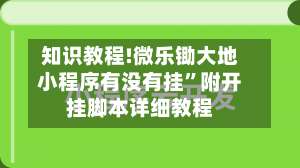 知识教程!微乐锄大地小程序有没有挂”附开挂脚本详细教程-第2张图片