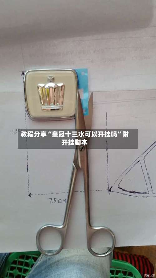 教程分享“皇冠十三水可以开挂吗	”附开挂脚本-第2张图片