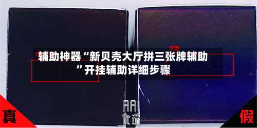 辅助神器“新贝壳大厅拼三张牌辅助	”开挂辅助详细步骤-第1张图片