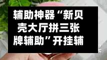 辅助神器“新贝壳大厅拼三张牌辅助”开挂辅助详细步骤-第2张图片
