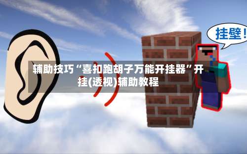 辅助技巧“喜扣跑胡子万能开挂器”开挂(透视)辅助教程-第3张图片