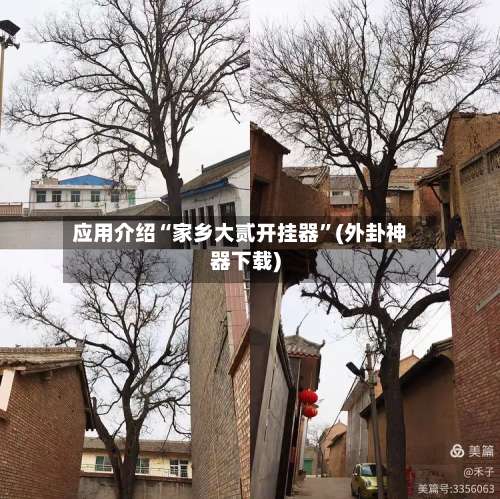 应用介绍“家乡大贰开挂器	”(外卦神器下载)-第2张图片