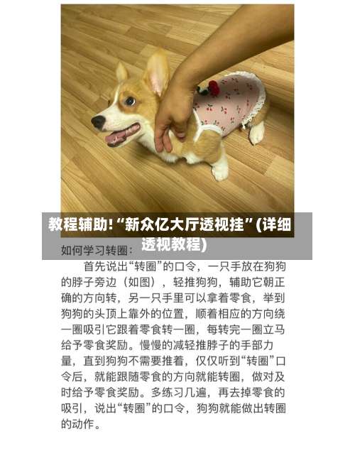 教程辅助!“新众亿大厅透视挂”(详细透视教程)-第2张图片