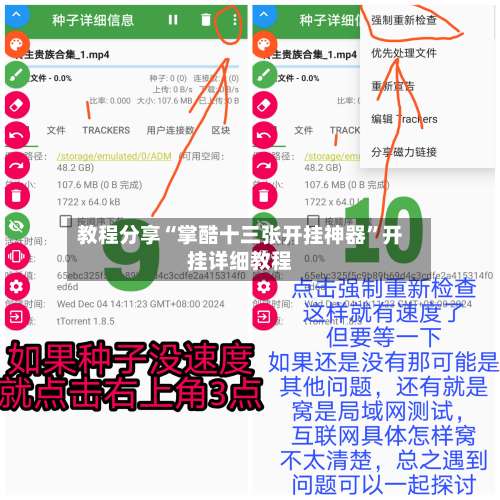 教程分享“掌酷十三张开挂神器	”开挂详细教程-第1张图片