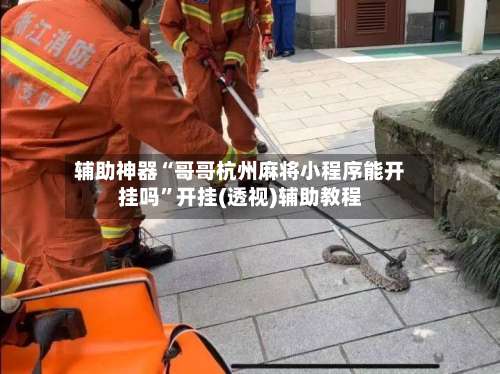 辅助神器“哥哥杭州麻将小程序能开挂吗”开挂(透视)辅助教程-第3张图片