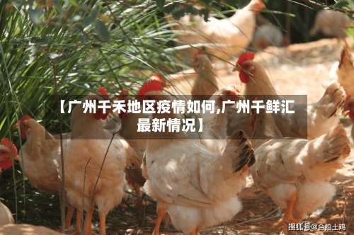 【广州千禾地区疫情如何,广州千鲜汇最新情况】-第1张图片