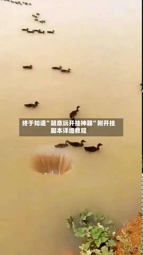 终于知道”随意玩开挂神器”附开挂脚本详细教程-第2张图片