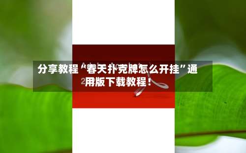 分享教程“春天扑克牌怎么开挂”通用版下载教程！-第1张图片