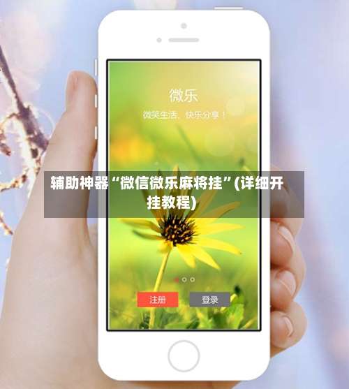 辅助神器“微信微乐麻将挂”(详细开挂教程)-第3张图片