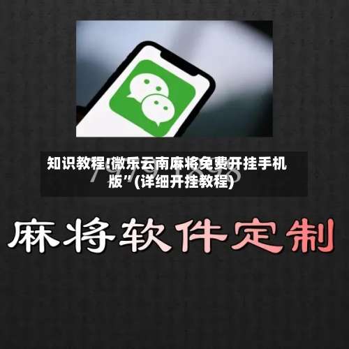 知识教程!微乐云南麻将免费开挂手机版”(详细开挂教程)-第2张图片