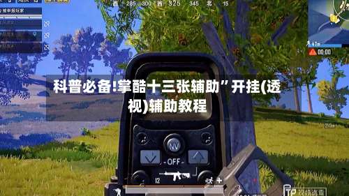 科普必备!掌酷十三张辅助	”开挂(透视)辅助教程-第2张图片