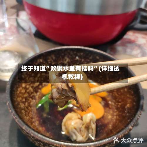 终于知道	”欢聚水鱼有挂吗”(详细透视教程)-第3张图片