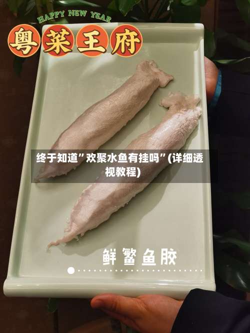 终于知道”欢聚水鱼有挂吗	”(详细透视教程)-第1张图片