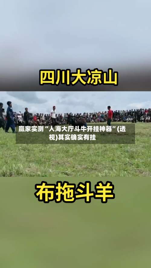 赢家实测“人海大厅斗牛开挂神器	”(透视)其实确实有挂-第2张图片