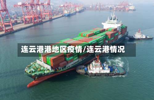 连云港港地区疫情/连云港情况-第1张图片