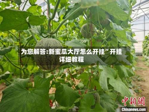 为您解答:新蜜瓜大厅怎么开挂	”开挂详细教程-第1张图片