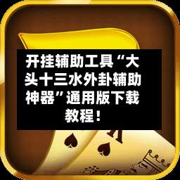 开挂辅助工具“大头十三水外卦辅助神器	”通用版下载教程！-第2张图片