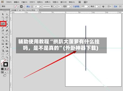 辅助使用教程“拱趴大菠萝有什么挂吗，是不是真的”(外卦神器下载)-第1张图片