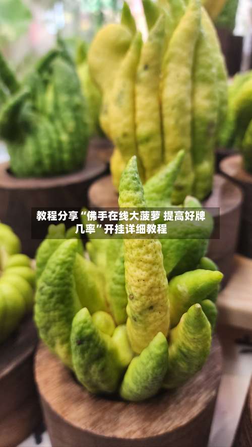 教程分享“佛手在线大菠萝 提高好牌几率”开挂详细教程-第1张图片
