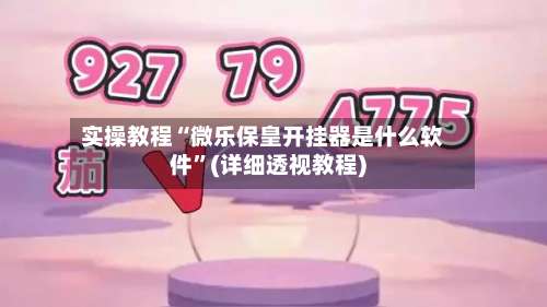 实操教程“微乐保皇开挂器是什么软件”(详细透视教程)-第1张图片